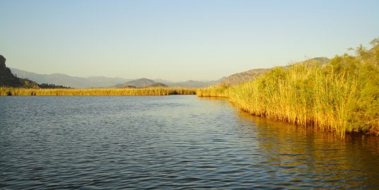 25, Dalyan, Bootsweg zum Fluss.jpg