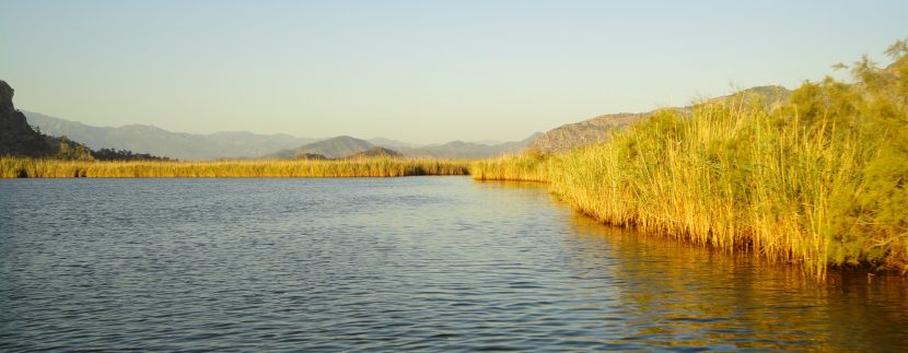 25, Dalyan, Bootsweg zum Fluss.jpg